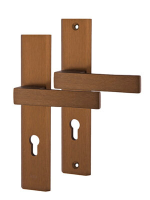 Klamka drzwiowa Haga plus na szyldzie PZ